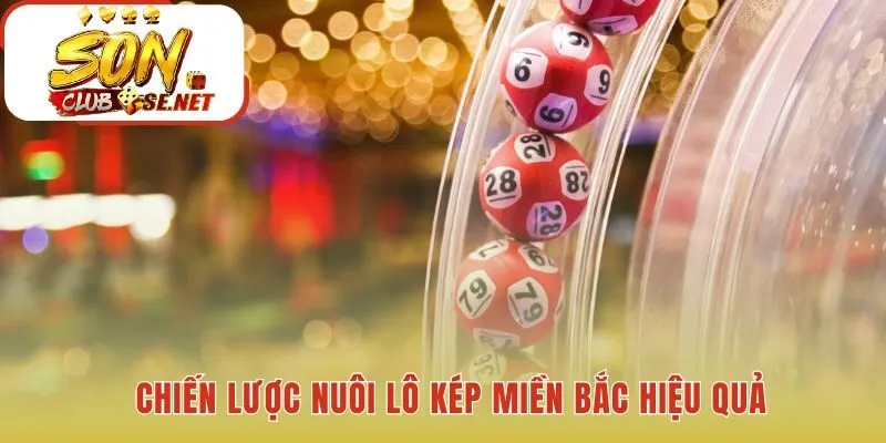 Phương pháp nuôi khung 3 ngày và tỷ lệ vào tiền khoa học