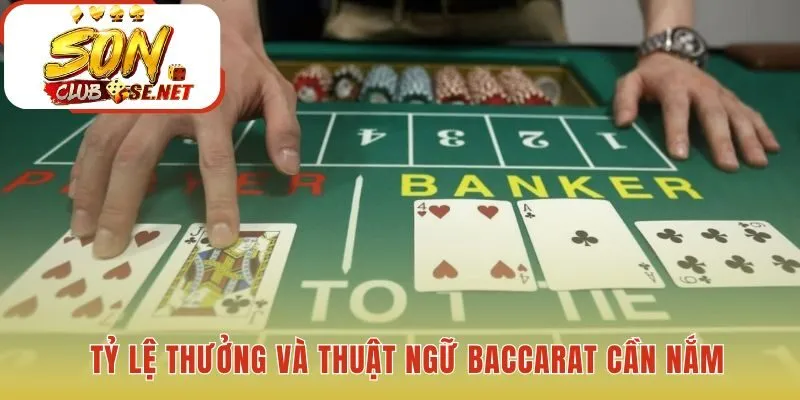 Các mức trả thưởng và thuật ngữ cơ bản trong baccarat